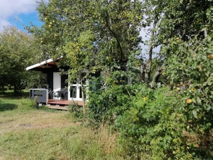 Kiszkowianka Domki Skrzeszewo  المظهر الخارجي الصورة